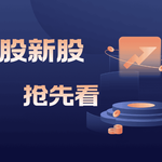 抢先看美股新股：掌握美国市场动态的投资秘诀